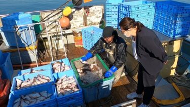 神田市場 プロジェクト＃２　北海道・函館　噴火湾の漁船「龍神丸」が捕る命懸けの”赤ガレイ”