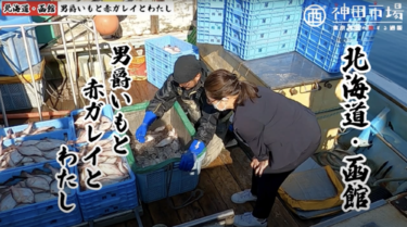 【北海道・函館】男爵いもと赤ガレイとわたし〜前編〜